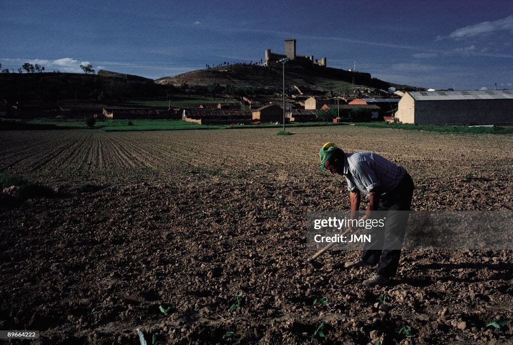 Farmer in Peñaranda de Duero. Burgos A peasant working the field in the surroundings of the town. To the bottom, on the hill, the old medieval strength