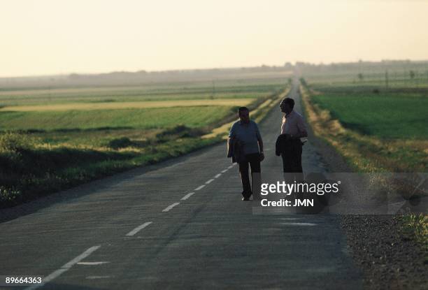Fields of Fromista Two men walk observing the field on the road of Fromista, Palencia province