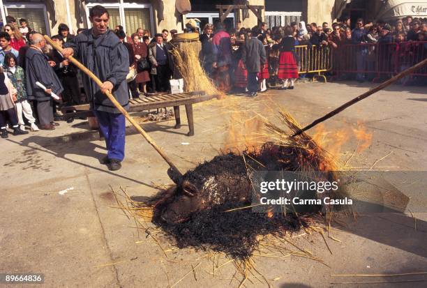 Gastronomic days in El Burgo de Osma Two men burn to a pig with hay in a square of el Burgo de Osma during the Gastronomic Days
