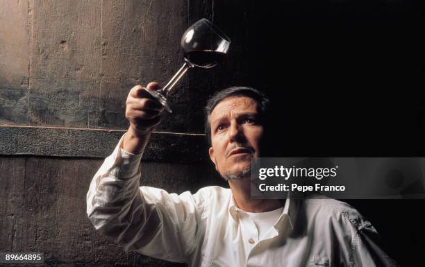 Taster looking at the color of the wine A taster looks at the color of the wine in a glass in Vega-Sicilia Company´s property in the Valladolid...