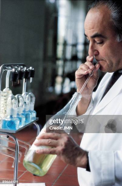 Laboratory of the Institute of Oenologist of Alcazar de San Juan A man makes tests to wine in a bottle in a laboratory of the Institute of...