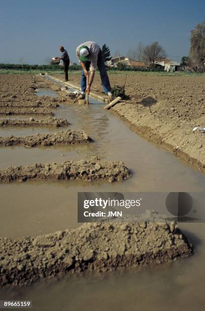 Watering canal. Santomera. Murcia Farmers controlling the small watering canal that feeds the vegetable gardens of the area