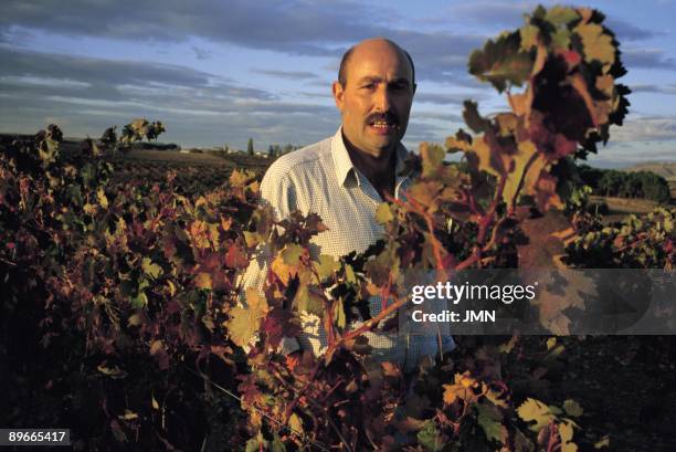 Carmelo Rodero, manager Carmelo Rodero in his vineyard, He is also owner of the cellars with his same name