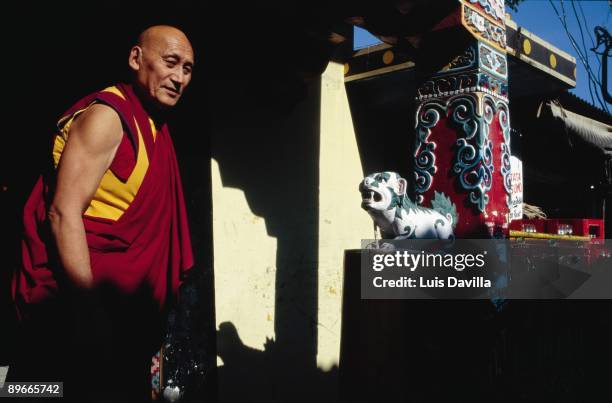 Buddhist monk Buddhist monk in the temple and residence of the Dalai Lama in Dharamsala