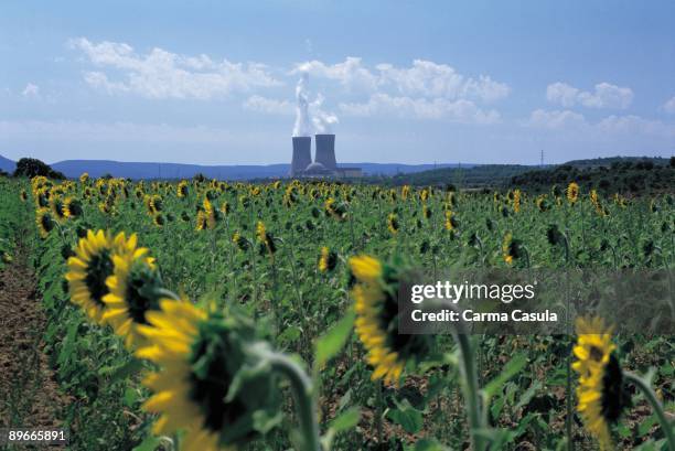 Nuclear plant of Trillo. Guadalajara Behind a field of sunflowers, the nuclear plant in operation