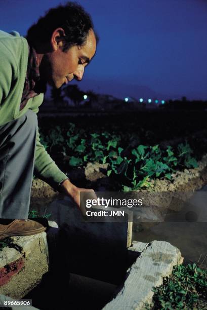 Waterings in the vegetable garden. Santomera. Murcia A farmer manipulating the watering canal in a vegetable garden