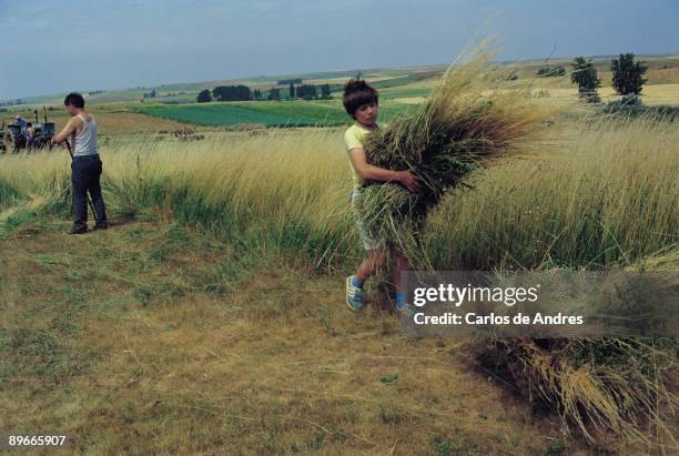 Works of the field Farmers, one of them a boy, working in the field