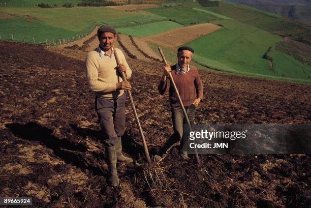 Farmers Farmers preparing the earth with the traditional rake