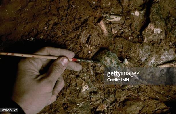 Human remains in the ´Abyss of the Bones´, Ibeas de Juarro A clean hand with a paintbrush the human bones found in the location of the Cave of...