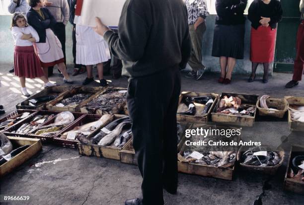 Fish market of Portugalete Box of fish gets ready to sell