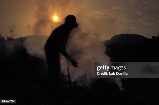 Burning of stubbles A farmer controls the he burns of stubbles of a field