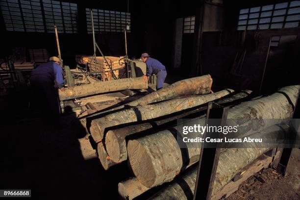 San Joan de las Fonts. Gerona Inside of a factory of wood in the Catalan Pyrenees