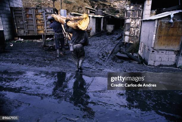 Miners transporting a trunk Two miners transport on their shoulders a trunk of a tree to prepare beams inside the coalmine , Leon province