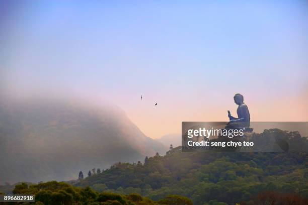 tian tan buddha - grote boeddha stockfoto's en -beelden