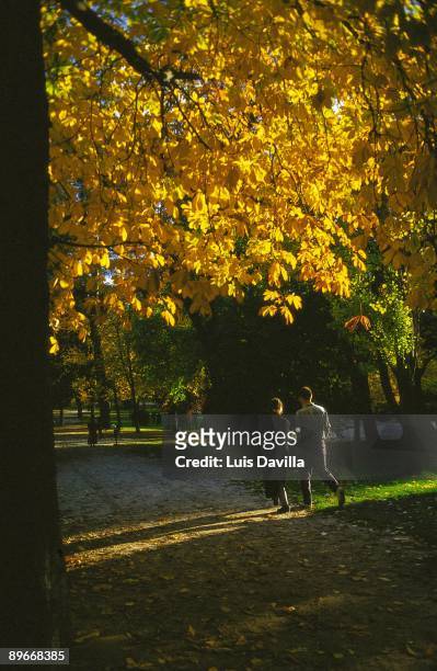 Couple strolling in the Retiro Park, Madrid Autumn view of the park