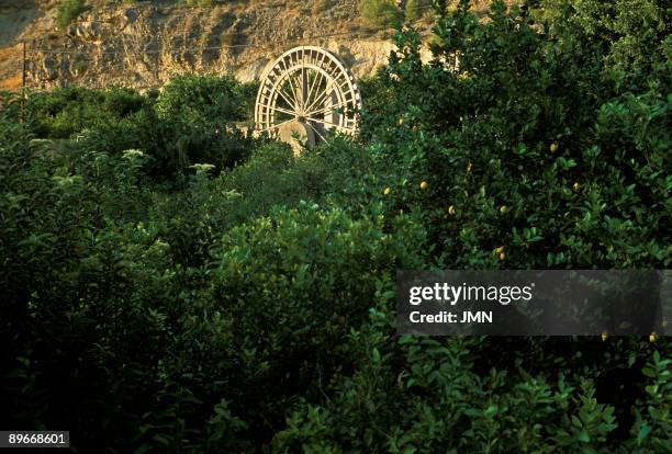 Murcia. Valle del Ricote. Water wheel.