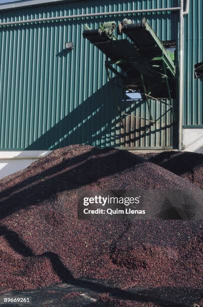 Olive oil. Cooperative San Fernando. Arjioa. Jaen Manufacture of the olive oil/ Place were the olive is smashed to get the oil