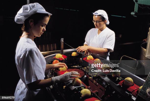 Factory Hero. Murcia Manipulation of the fruit in the factory of the canned goods