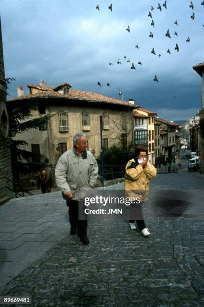 Spain. Vitoria. Old City. Verastegui Palace.