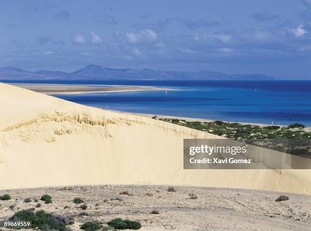 Sotavento beach, Fuerteventura. Canary Islands