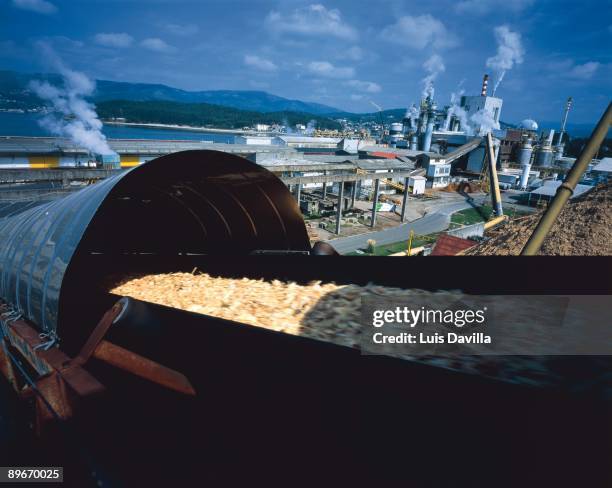 Paper Industry in Pontevedra, Galicia