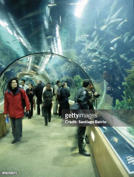 The Oceanographic, Europe´s largest aquarium. Submarine tunnel of Templates and Tropicals zone, that seems a submarine tryp through Atlantic Ocean.