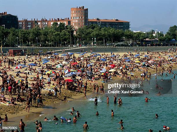 la mar bella beach barcelona - vacaciones stock pictures, royalty-free photos & images