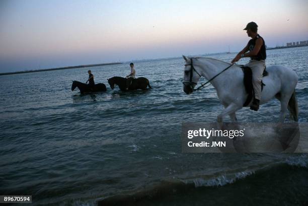 Cadiz. Puerto de Santa Maria. Teacher and pupils of riding school in the beach.