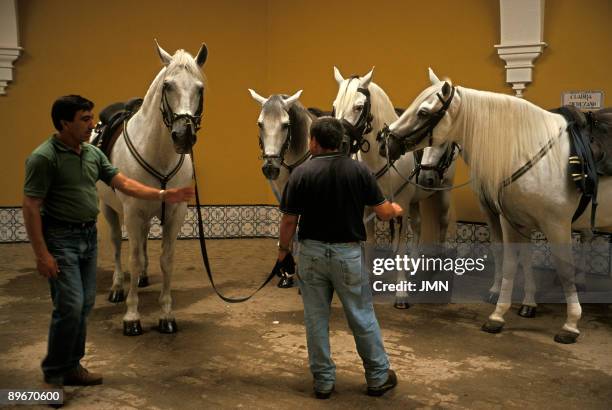 "Royal Andalusian School of Ecuestrian Art". Stables. Jerez de la Frontera. Cadiz.