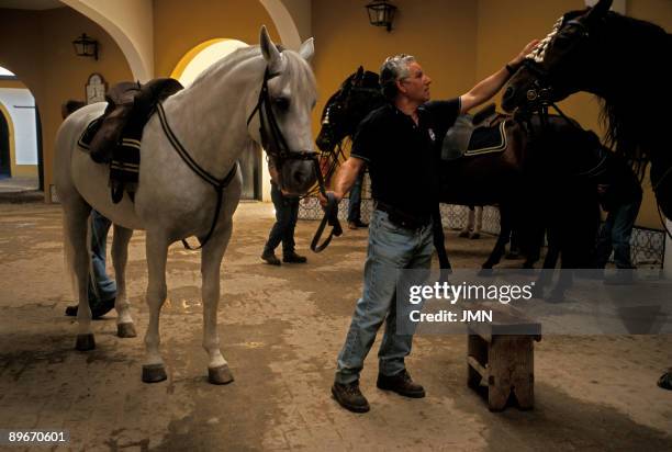 "Royal Andalusian School of Ecuestrian Art". Stables. Jerez de la Frontera. Cadiz.