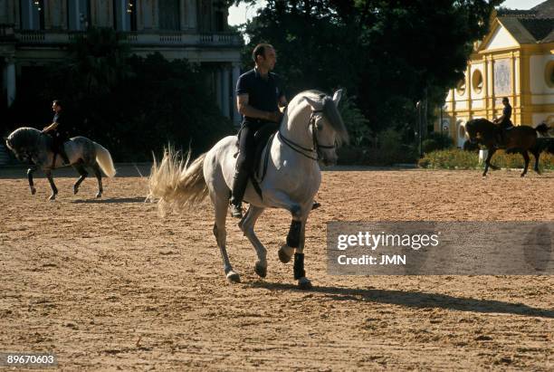 "Royal Andalusian School of Ecuestrian Art". Training. Jerez de la Frontera. Cadiz.