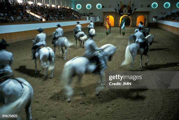 "Royal Andalusian School of Ecuestrian Art". Exhibition. Jerez de la Frontera. Cadiz.