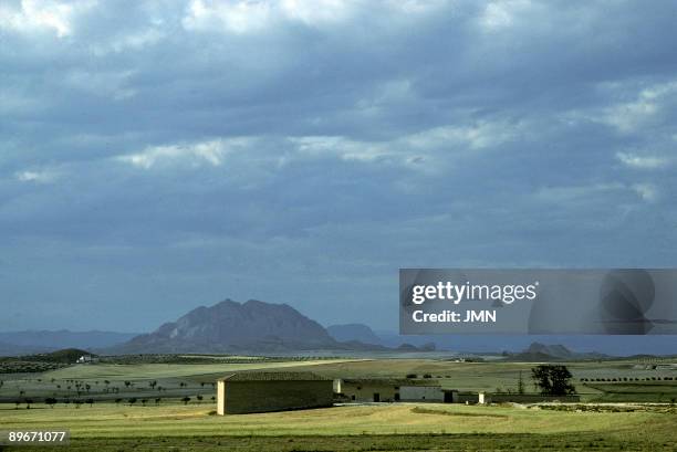 Murcia. Cereals landscape.