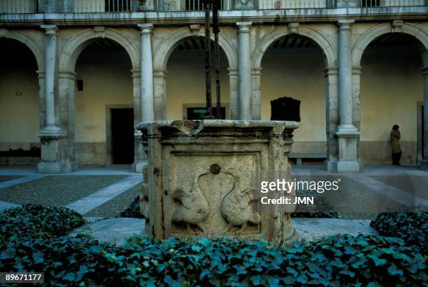 University of Alcala de Henares. Madrid. Patio of Santo Tomas de Villanueva with thw swans, symbol of the Cardenal Cisneros. XVth century....