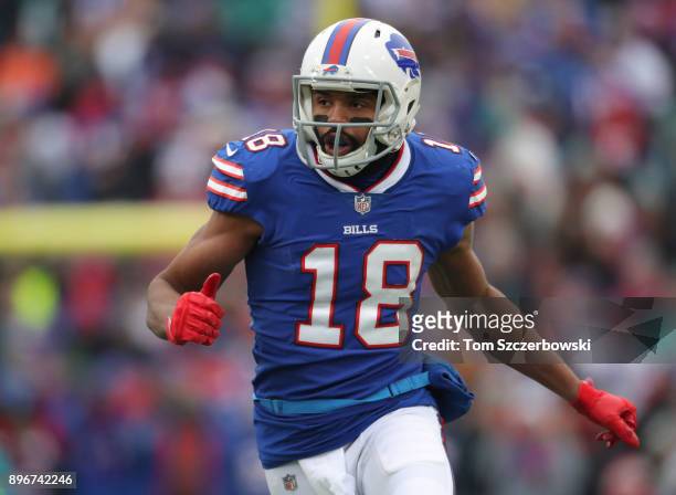 Andre Holmes of the Buffalo Bills in action during NFL game action against the Miami Dolphins at New Era Field on December 17, 2017 in Buffalo, New...