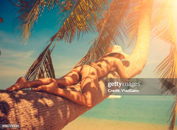 nude woman at tropical beach - frond stock pictures, royalty-free photos & images