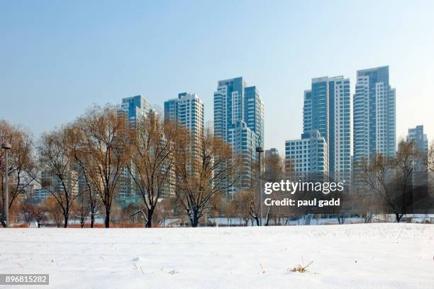 4,566 Apartment Building Snow Stock Photos, High-Res Pictures, and ...