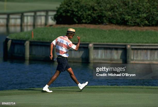 Amateur Championship: Tiger Woods victorious after birdie on No 17 at TPC Sawgrass. Ponte Vedra Beach, FL 8/27/1994 CREDIT: Michael O'Bryon
