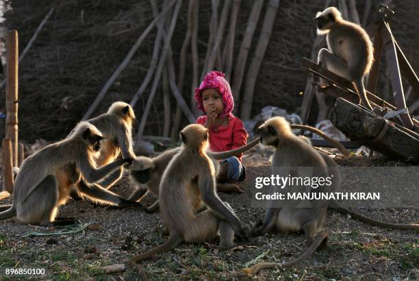 In this photograph taken on December 8 Indian child Samarth Bangari sits among langur monkeys in a field near his home in Allapur in India's...