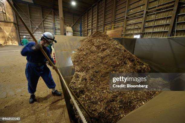 An employee moves wood chips onto a conveyor in a yard at the Gonoike Biomass Power Station, operated by Gonoike Bioenergy Corp., a subsidiary of...