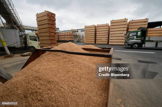 Pile of sawdust sits at the Gonoike Biomass Power Station, operated by Gonoike Bioenergy Corp., a subsidiary of Mitsubishi Corp., in Kamisu, Ibaraki...