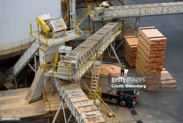 Worker prepares to unload sawdust from a truck into a drying silo at the Gonoike Biomass Power Station, operated by Gonoike Bioenergy Corp., a...