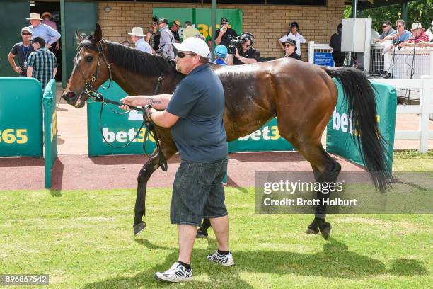 Cool Runnings after winning the GCD Constructions BM58 Handicap at Yarra Valley Racecourse on December 22, 2017 in Yarra Glen, Australia.