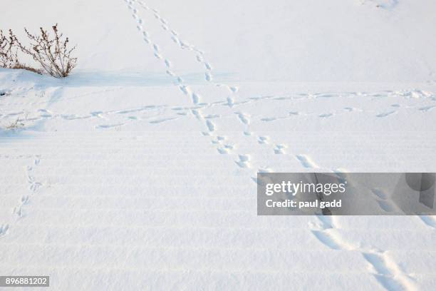 Intersecting Rivers 257 Intersecting Rivers Stock Photos, High-Res Pictures, and Images ...