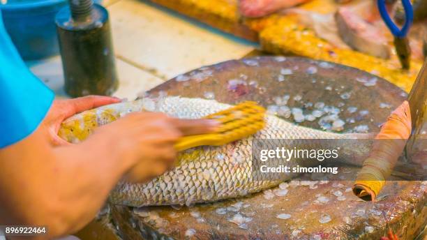 Scrape Raspa 62 Raspa Pescado Stock Photos, High-Res Pictures, and Images - Getty Images