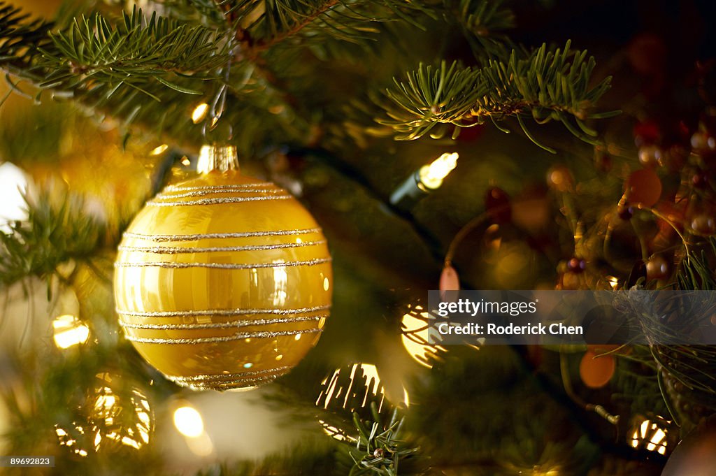 Christmas ornament hanging from tree