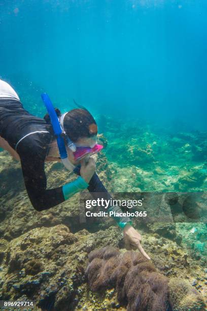 immagine subacquea di donna libera immersioni in mare - gol di pareggio foto e immagini stock