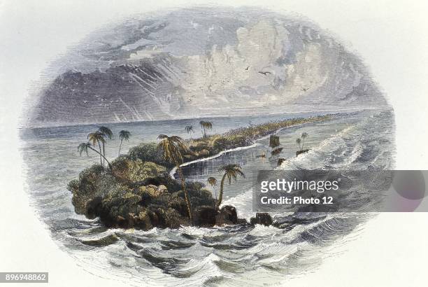 Coral Reef, Time taken for building of coral reefs and islands was a proof used by Darwin to support the theory of a long geological timescale 1849...