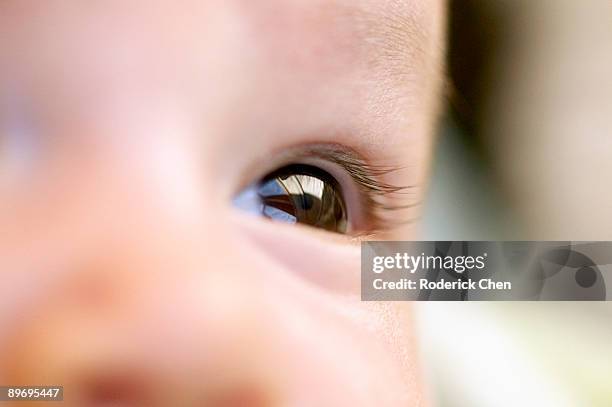 Baby Boy Roderick 96 Roderick Babes Stock Photos, High-Res Pictures, and Images - Getty ...