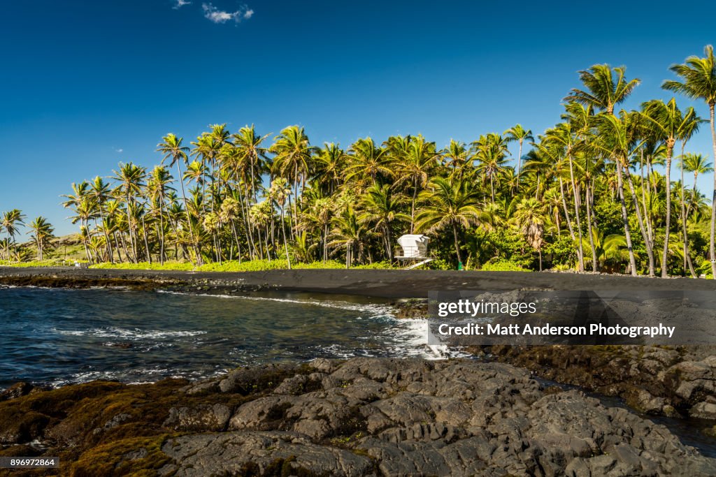 Punalu’u Beach #3